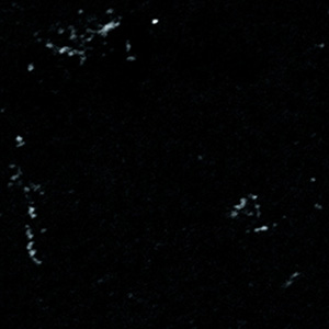 5502-Nocturne-Coante-Range