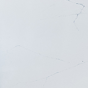 Cabecera_Cobweb_WEB-Compac