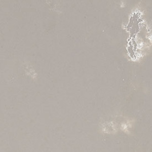 ICEWHITE_VETAS-Compac